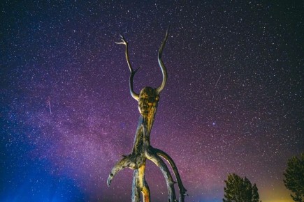 ������ ����!. ����� �������� ��� ���������� ���� ����������� ��������� ���� � ����� � ���� ���������� ����: ��������� ������