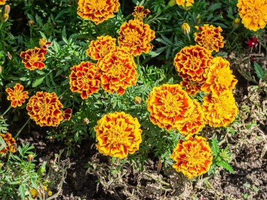 ����� � ����: 5 ��������, ������� ������� ������ � ����� ���