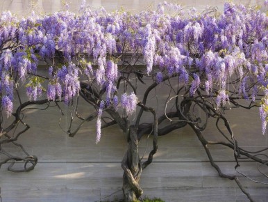 �������� � ����� �����: ����� �����, �������� ����� �����