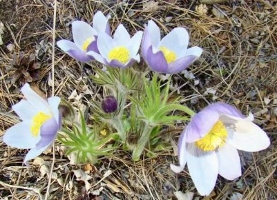 ������ ���������� ����, ������! �� ��������� � 26 ������