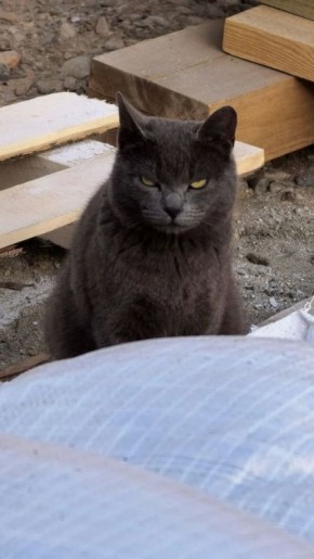 ������ ����!. ��� � ��������� ����� ������� ������