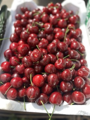 ��������� ����� ������������� ������� ��������� ���, ������� ��������� � �������� �������, 25 ������, �� ����������� ���������� ��������� ������ ���� ���������� �� ��.����������,1 � ������ ����