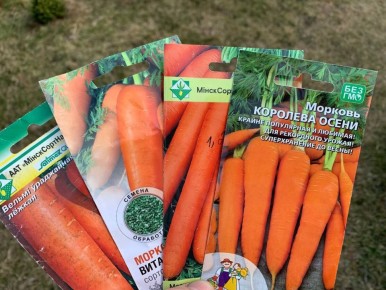 ����� ����������� ��� �������: ��� �������� �������� ������ ��� ������ ������