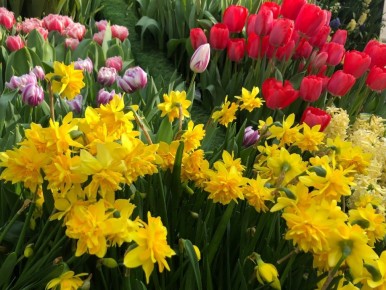 ������� �������� ������� ��������� �������: ���� � ������ ��������