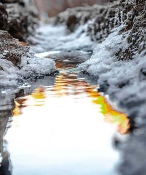 ������ ����, �����������. ������� 29 ������, �����