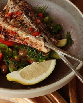 ���� ������ �������: ��������� Novikov Group ������ ������� �� �������� ����