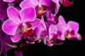 ��� ��������� �������� �������, ����� ��� �������� ��������� �����: ������ ��������
