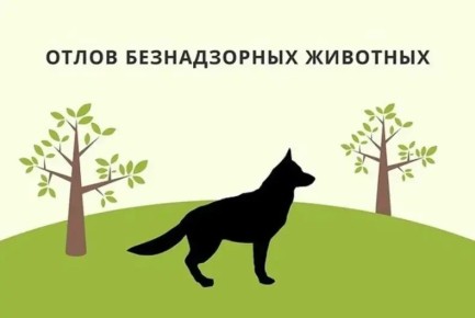 ����� ����� ������������. �� �������� ����� ����������� �������� ���������� ��������� ������������� ���������� ������ ������ ���� ���� ��������� ����� ����� � ������ ��.��������, 36, ���������, 40, �����������, ...