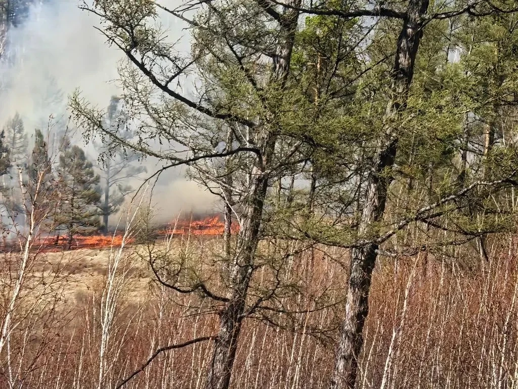 Рядом с 100-м километром трассы «Амур» пожар Рядом с 100-м километром трассы «Амур» пожар