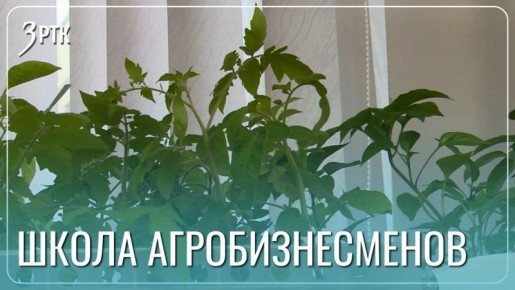 ����� �1 � �������� � ������� ������ ������� ���������������