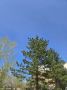 ���� �������: ���� ������� ���!. ��� � �� ��������� ��������� �����