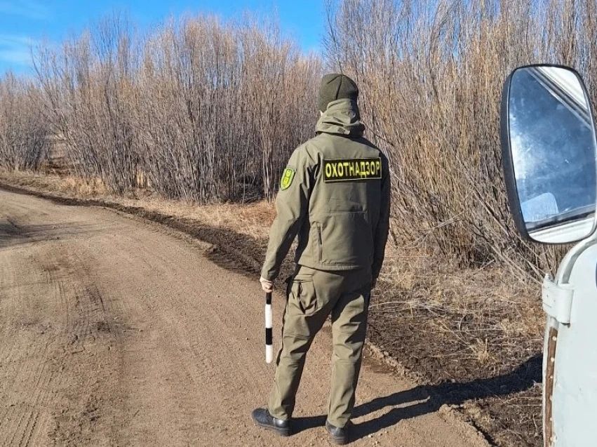 В Забайкалье охотоведы изъяли у браконьеров четыре гладкоствольных ружья, одно нарезное оружие и пять петель В Забайкалье охотоведы изъяли у браконьеров четыре гладкоствольных ружья, одно нарезное оружие и пять петель