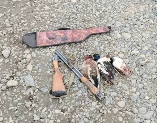 Сотрудники отдела охраны окружающей среды и полиции изъяли 195 карасей у правонарушителей Сотрудники отдела охраны окружающей среды и полиции изъяли 195 карасей у правонарушителей