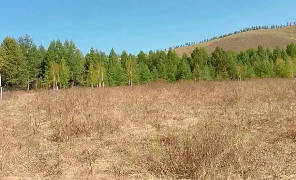 На 26 мая 2026 года лесопожарная обстановка в Забайкальском крае остаётся стабильной На 26 мая 2026 года лесопожарная обстановка в Забайкальском крае остаётся стабильной