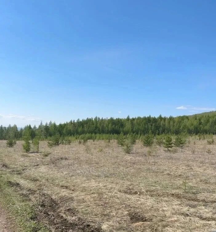 На 26 мая 2026 года лесопожарная обстановка в Забайкальском крае остаётся стабильной