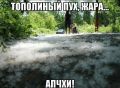 � ������������� ���� ��� �� ������ ������������ ������� ������