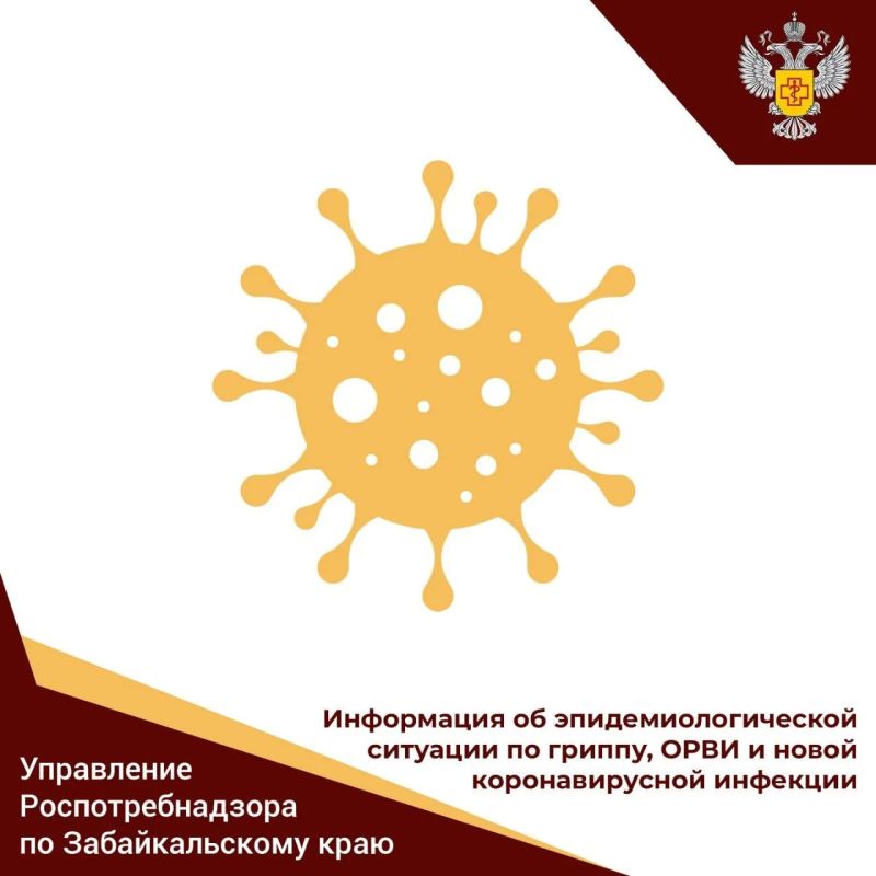 Управление Роспотребнадзора по Забайкальскому краю информирует об эпидемиологической ситуации по заболеваемости гриппом, ОРВИ и новой коронавирусной инфекцией в крае