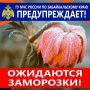 На территории Забайкальского края возможны заморозки