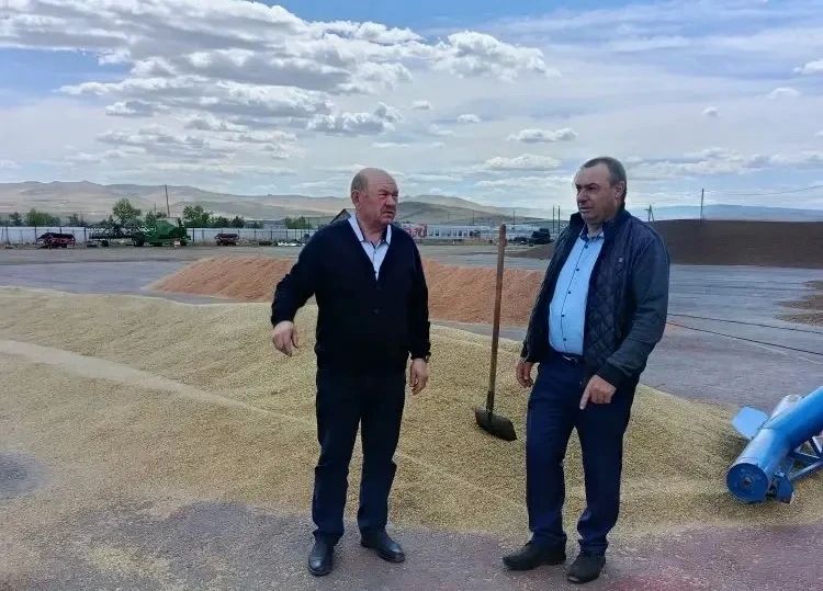 Крупнейший агрохолдинг Забайкалья запустил посевную вопреки банкротству Крупнейший агрохолдинг Забайкалья запустил посевную вопреки банкротству