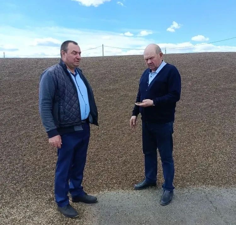 Крупнейший агрохолдинг Забайкалья запустил посевную вопреки банкротству Крупнейший агрохолдинг Забайкалья запустил посевную вопреки банкротству