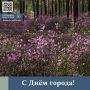 «Чита — это сердце нашего региона, оно с богатой историей и сильным духом