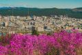 Столица Забайкалья, любимая Чита, с Днём города!