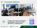 � ���� ��������� ������� �������� ���������� � ������������ ������� ����������