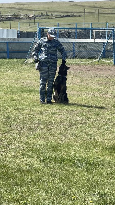 В Урульгинском центре помощи детям, оставшимся без попечения родителей, «Подсолнух» состоялась традиционная Спартакиада на приз Забайкальского линейного управления МВД России на транспорте, приуроченная к Международному дню... В Урульгинском центре помощи детям, оставшимся без попечения родителей, «Подсолнух» состоялась традиционная Спартакиада на приз Забайкальского линейного управления МВД России на транспорте, приуроченная к Международному дню...