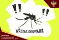 Ƹ���� ���������: ���������� �����