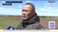 2 июня «Вести-Чита» в 13:00