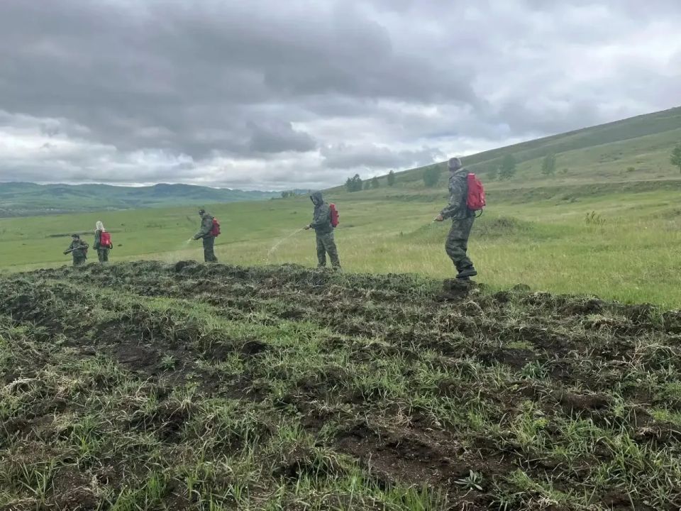 В Сретенском лесничестве прошли командно-штабные учения В Сретенском лесничестве прошли командно-штабные учения