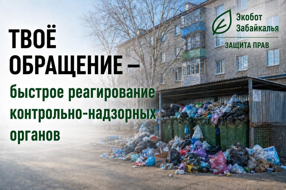 #ЭкоДело. Экобот Забайкалья — сообщить об экологической проблеме просто! Перейди в чат-бот: #ЭкоДело. Экобот Забайкалья — сообщить об экологической проблеме просто! Перейди в чат-бот: