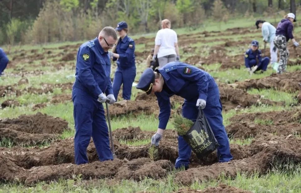 В Чите на Батарейной сопке высадили 3 800 сеянцев в рамках международной акции «Сад памяти» В Чите на Батарейной сопке высадили 3 800 сеянцев в рамках международной акции «Сад памяти»