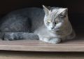 Конец дня - время для отдыха
