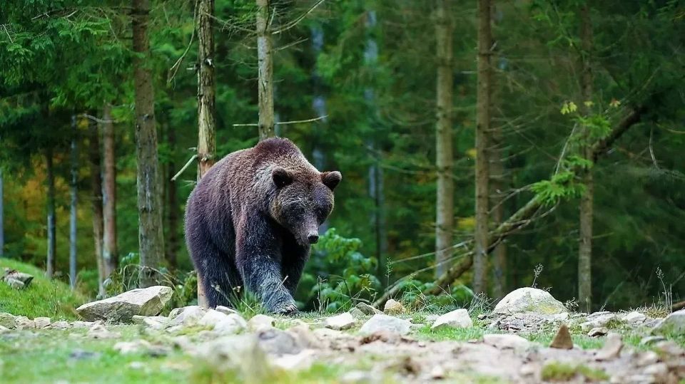 Когда солнце чуть-чуть показывает нам свои лучи, то сразу хочется говорить о туризме Когда солнце чуть-чуть показывает нам свои лучи, то сразу хочется говорить о туризме