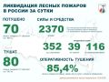 За прошедшие сутки в России потушено 70 лесных пожаров в 17 регионах