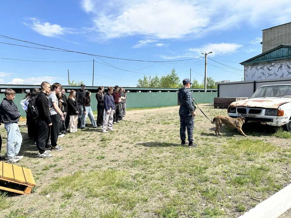 В Чите студенты познакомились с работой кинологов и их четвероногих помощников В Чите студенты познакомились с работой кинологов и их четвероногих помощников