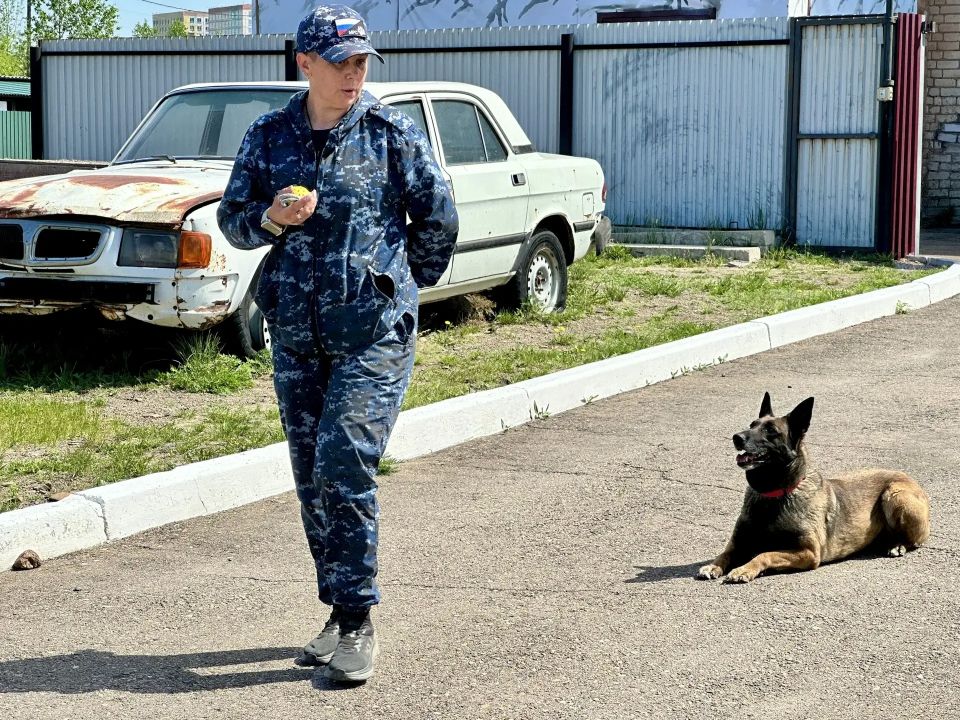 В Чите студенты познакомились с работой кинологов и их четвероногих помощников В Чите студенты познакомились с работой кинологов и их четвероногих помощников