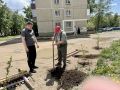 Коллектив ТОС «Уютный дворик» Черновского района города Читы благоустроил придомовую территорию