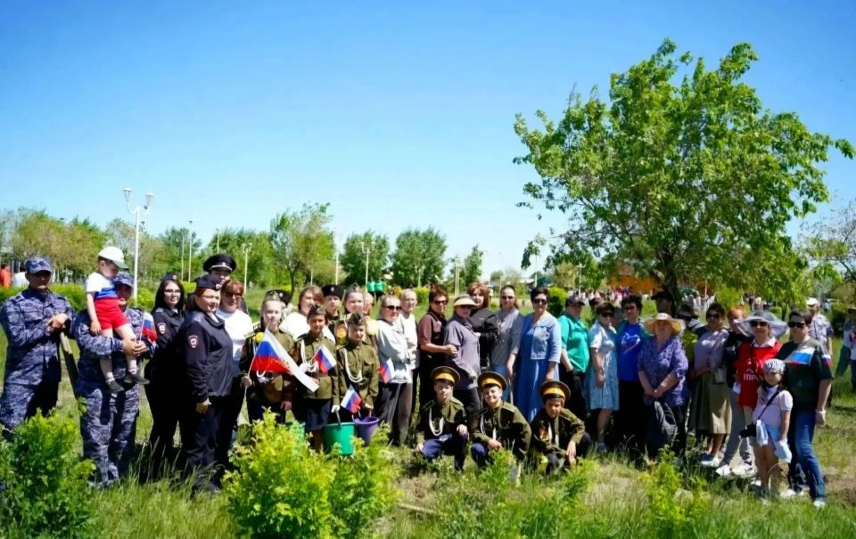 В Приаргунке высадили «Сад памяти» В Приаргунке высадили «Сад памяти»