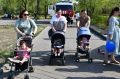 В 2025 в Забайкалье стало почти на 500 многодетных семей больше