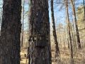 ����� ������ ��������� ������ �������� ������������ � ����� ������� � ����������