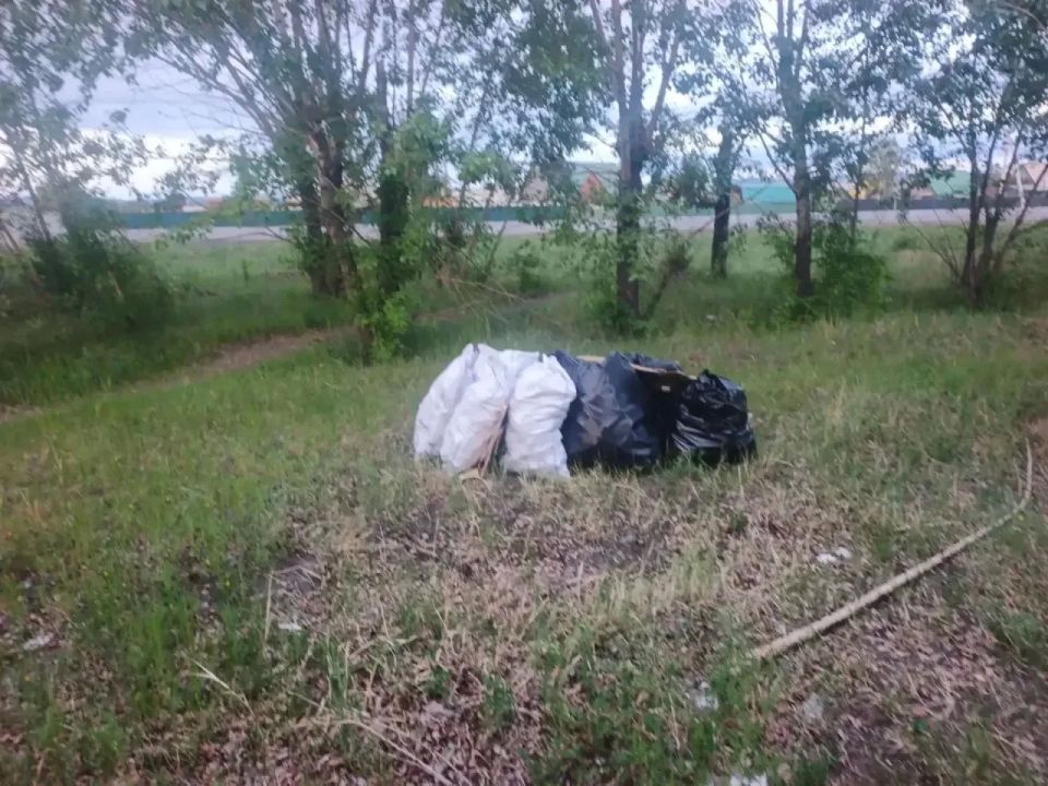 В краевом центре продолжается ликвидация несанкционированных свалок В краевом центре продолжается ликвидация несанкционированных свалок