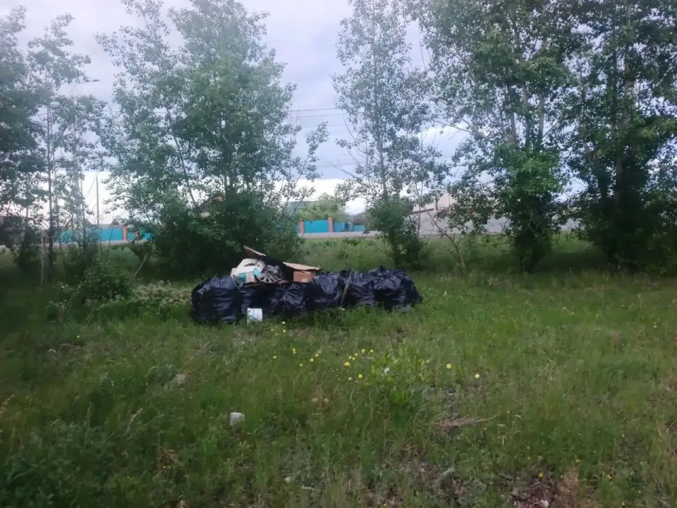 В краевом центре продолжается ликвидация несанкционированных свалок В краевом центре продолжается ликвидация несанкционированных свалок
