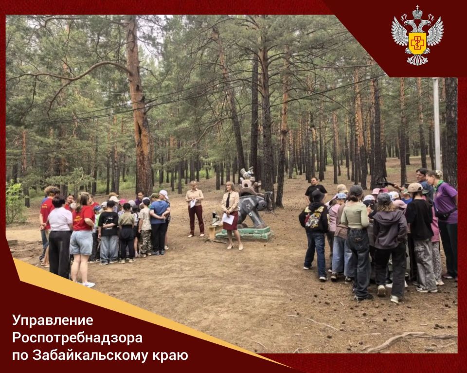 Прямо сейчас в лагере «Энергетик» две команды отдыхающих — дети 10-12 лет — спасаются от клещей!