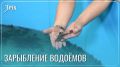 Амурского осётра заселят в Онон и Шилку