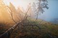 Доброе утро, забайкальцы!. Пусть этот день подарит вам заряд бодрости и хорошее настроение на предстоящую неделю