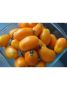 Мармелад оранжевый: спокойное объяснение особенностей и ухода за ранним сортом