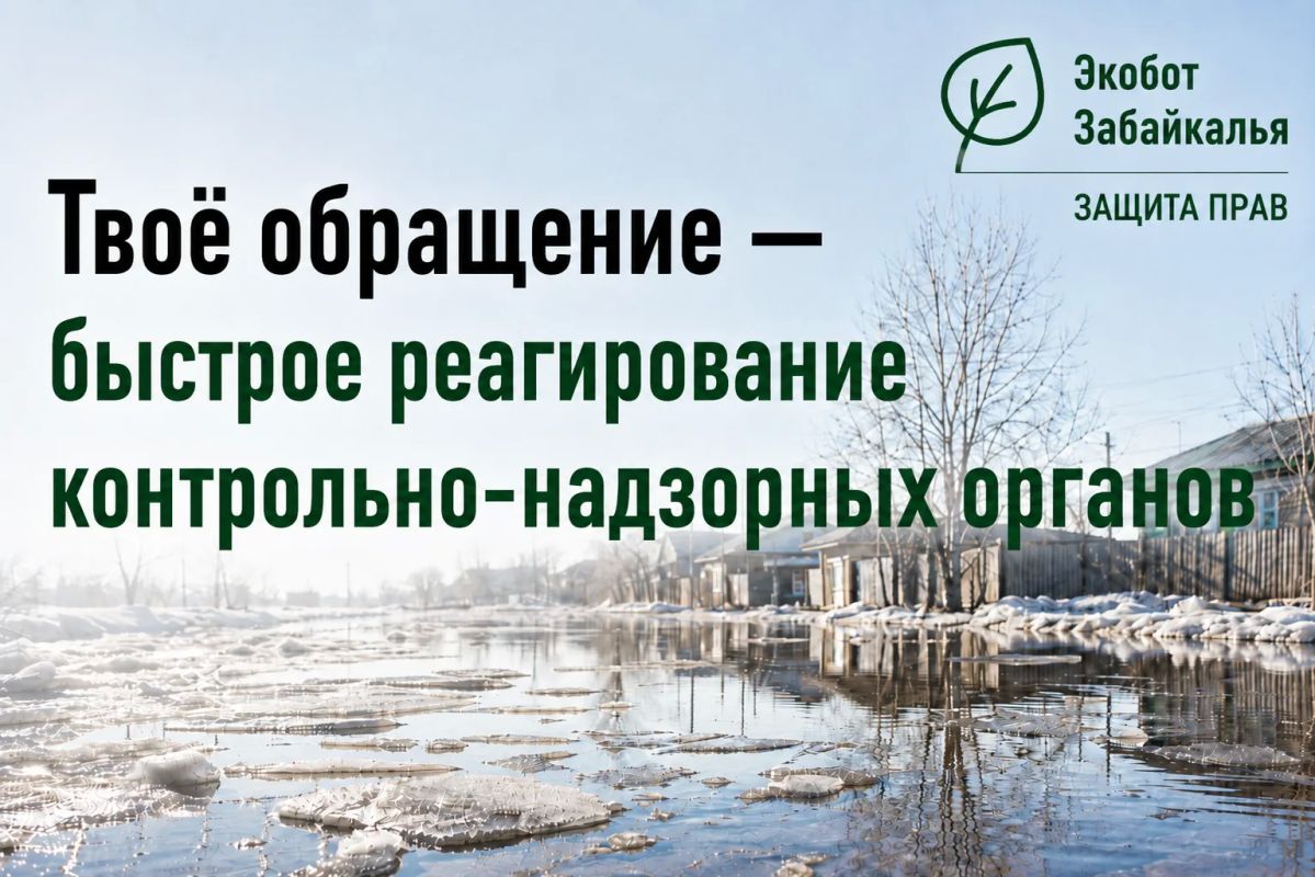 #ЭкоДело. Экобот Забайкалья — сообщить об экологической проблеме просто! Перейди в чат-бот: #ЭкоДело. Экобот Забайкалья — сообщить об экологической проблеме просто! Перейди в чат-бот: