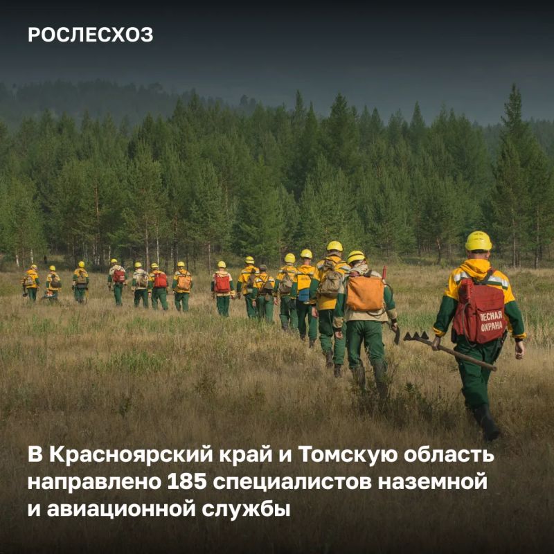 На 11:00 мск 24 июня в России на землях лесного фонда действует 178 лесных пожаров на площади 235,9 тыс